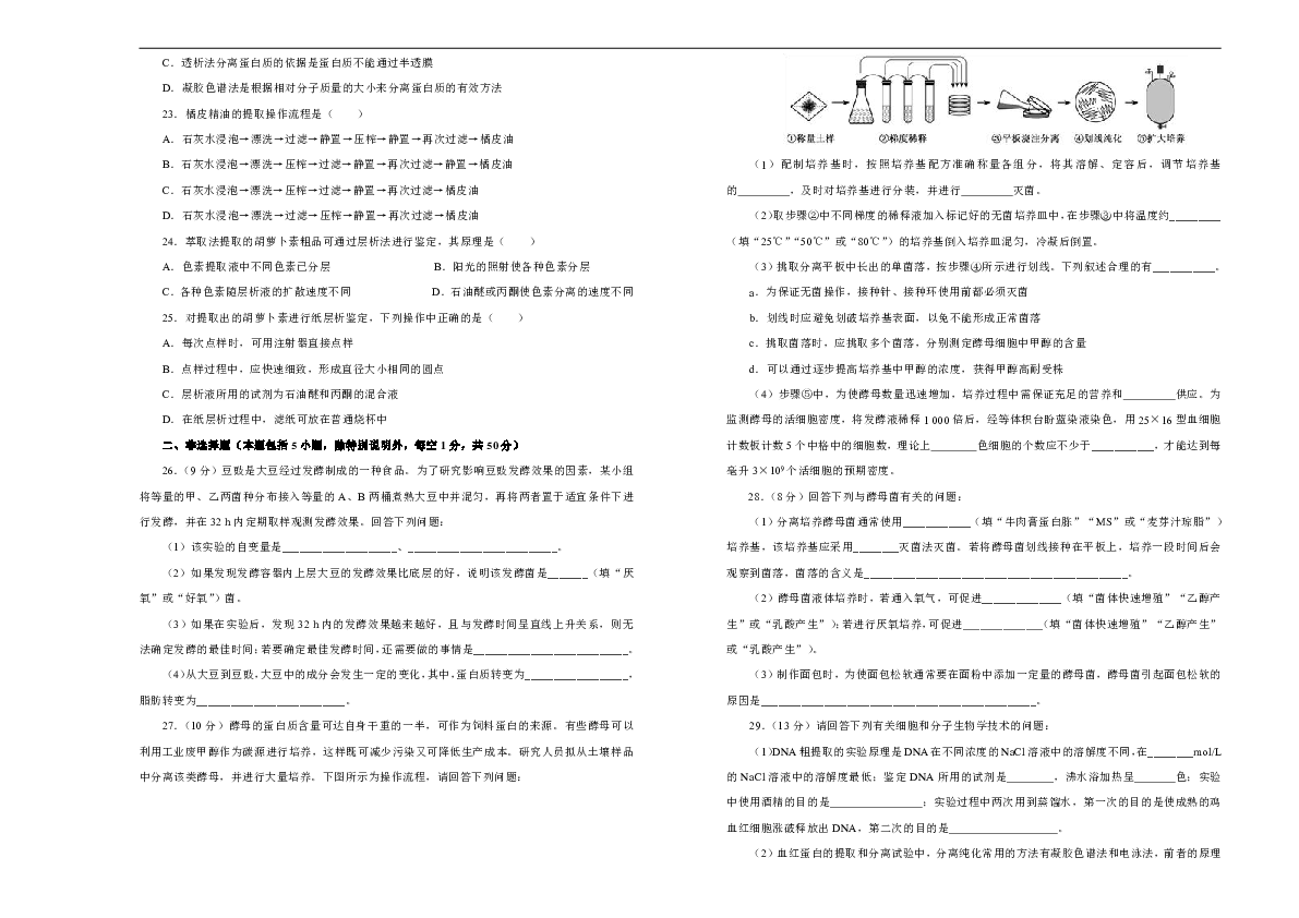 澳门正版资料大全免费歇后语,精选解释解析落实