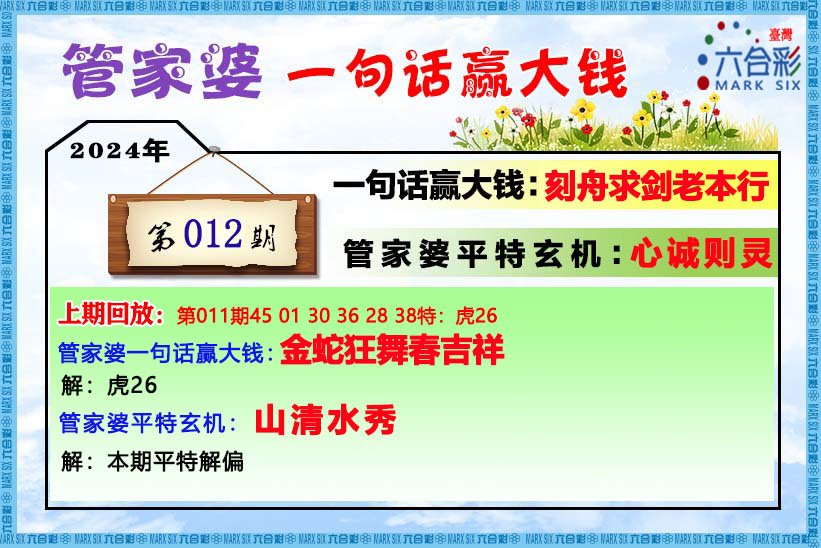 管家婆的资料一肖中特176期,精选解释解析落实