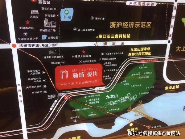 2024澳门四不像图最新消息,精选解释解析落实