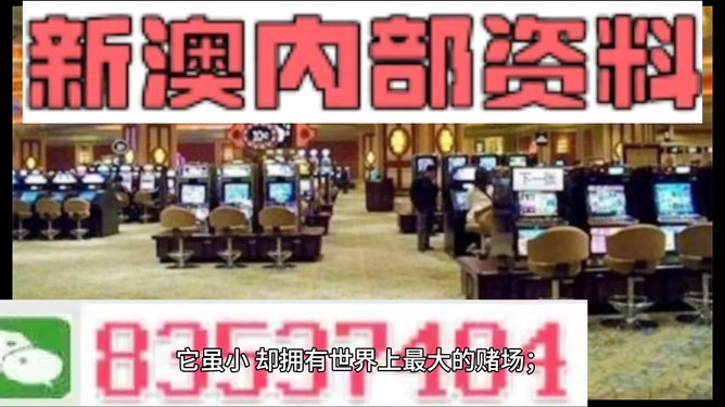 2024新澳门精准资料免费,精选解释解析落实