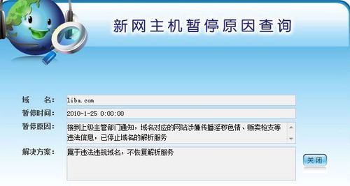 新澳门今期开奖结果记录查询,精选解释解析落实