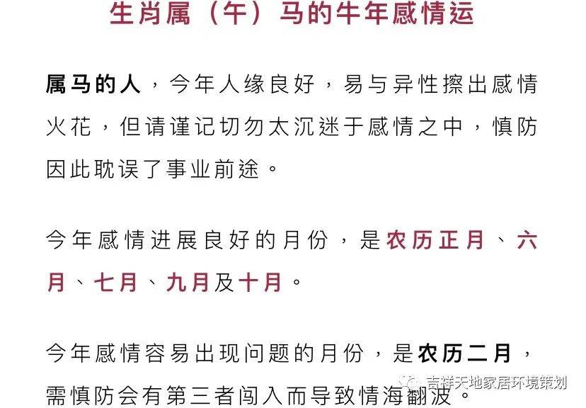 2024今晚香港开特马,精选解释解析落实