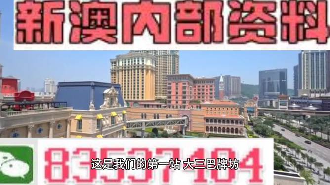 2024新澳门精准正版免费资料510期,精选解释解析落实